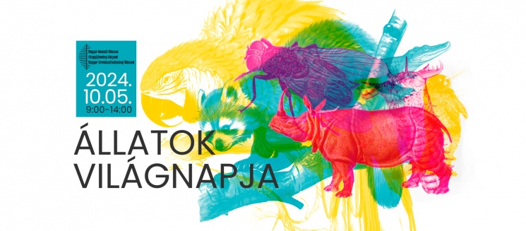 Állatok Világnapja Budapest Magyar Természettudományi Múzeum
