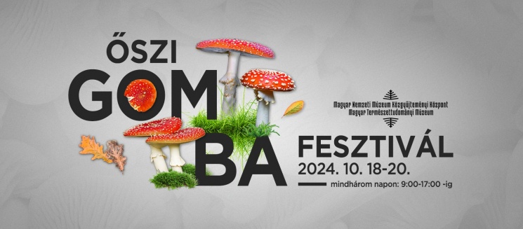 Gombakiállítás Budapest 2023. Kucsmagomba Napok a Magyar Természettudományi Múzeumban