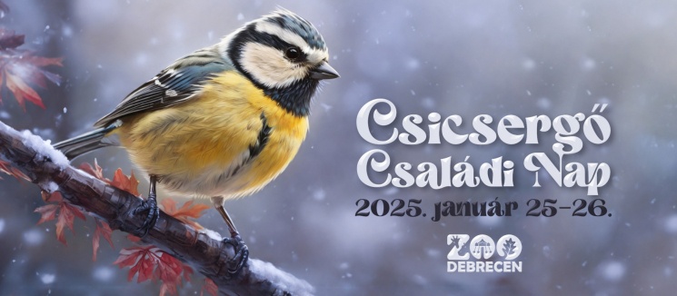 Családi program a debreceni állatkertben 2025. Csicsergő nap madarakkal a főszerepben