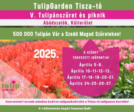 Tulipánszüret Tisza-tó 2025 Abádszalók