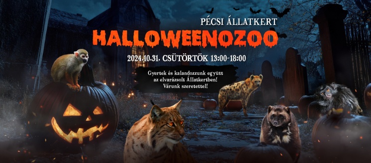 Pécsi állatkert Halloween 2023