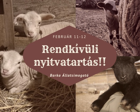 Családi nap a Barkán 2023 Dunakeszi, Barka Állatsimogató
