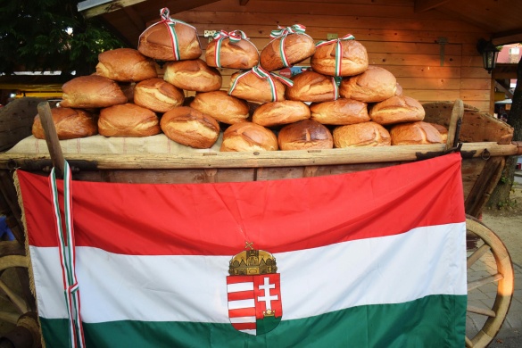 Zalakarosi programok augusztus 20-án