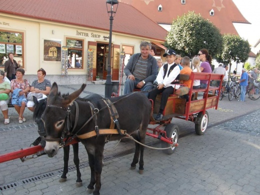 Kult-Utca. Családi program Mosonmagyaróvár