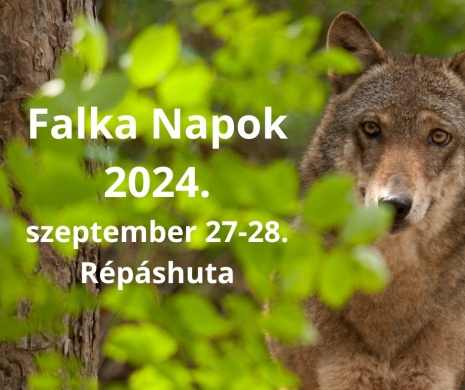 Falka Napok 2024 Répáshuta