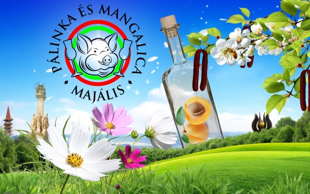Pálinka és Mangalica Majális 2023 Zalaegerszeg
