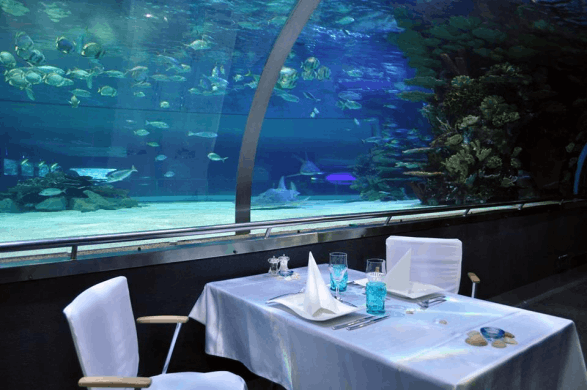 Különleges romantikus vacsora helyszín a Tropicariumban leánykérésre, születésnapra, évfordulóra