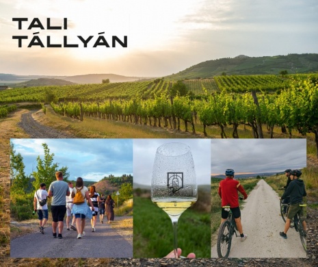 Tali Tállyán 2023. Találkozzunk a nyitott pincék hétvégéjén!
