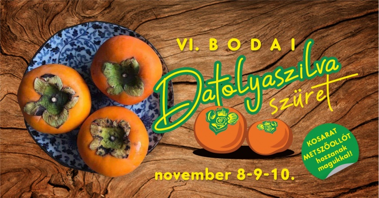 Datolyaszilva-szüret 2024 Boda