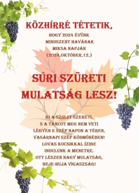 Szüret Súr 2024