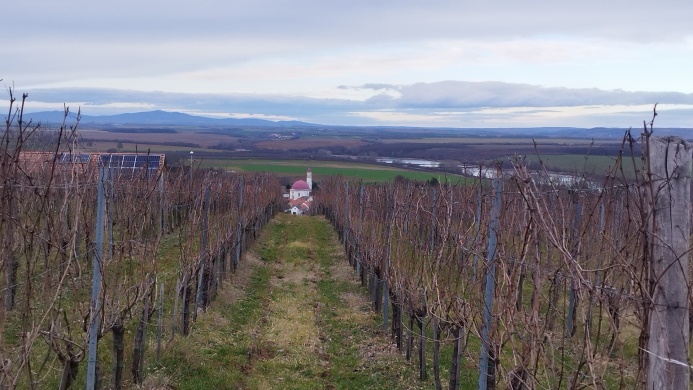 Vince-nap Palkonya 2025