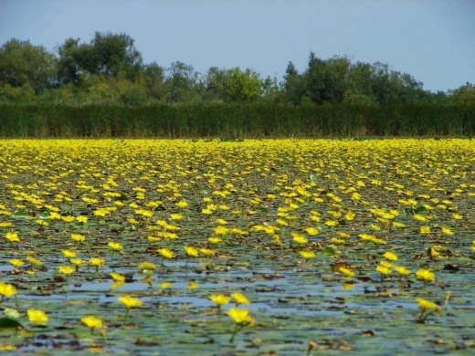 Tisza-tavi túravezető képzés 2025
