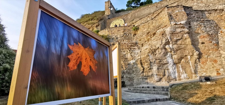 Szenttamási Napok Esztergom