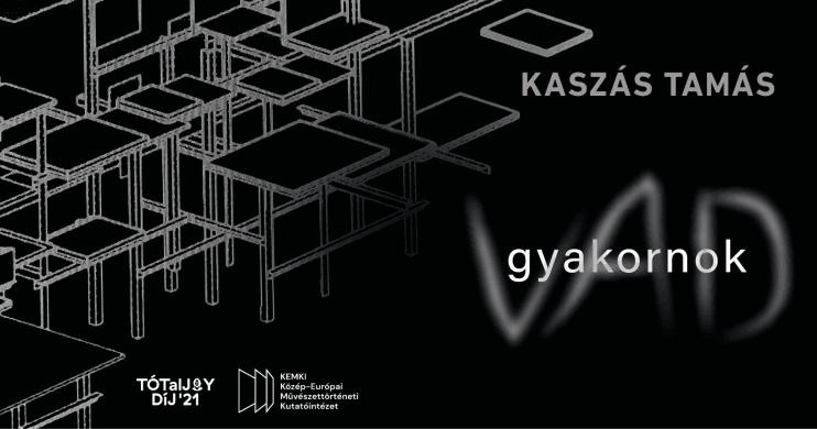 Kamarakiállítás Budapest 2023. Kaszás Tamás: Vad gyakornok a Magyar Nemzeti Galériába