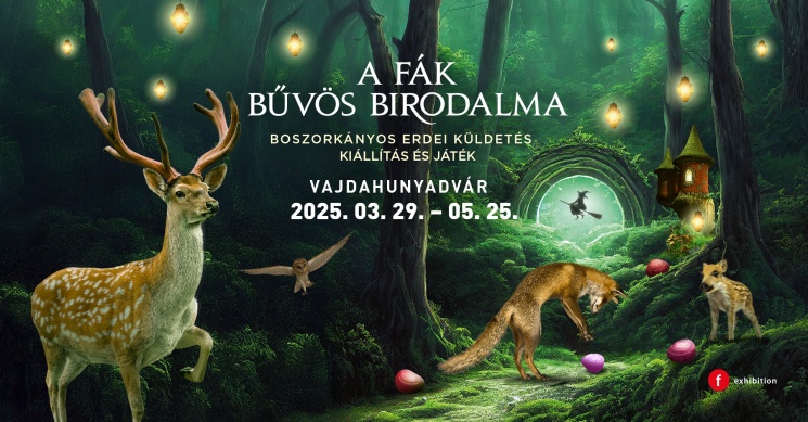 Interaktív kiállítás gyerekeknek Budapest 2025. A FÁK BŰVÖS BIRODALMA – BOSZORKÁNYOS ERDEI KÜLDETÉS