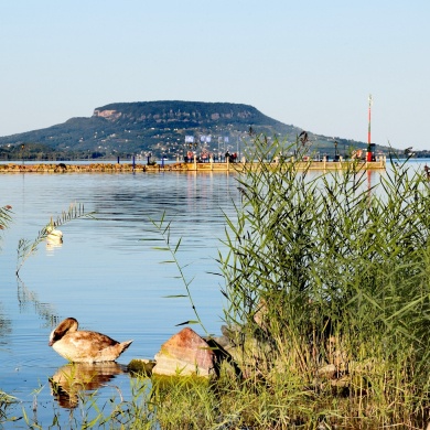 Nemzeti Hét Balatongyörök 2024