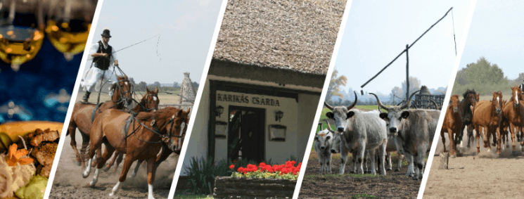 Folklór program 2026 Bugac - Pusztaprogram csikósbemutató, a Bugaci ménes lovasbemutatója  és vágtája