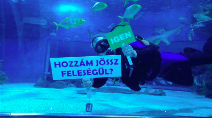 Tropicarium tengeri akvárium, budapesti különleges esküvő helyszín
