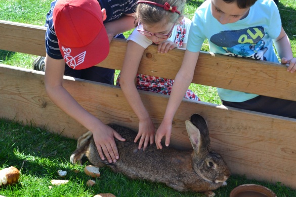 Húsvéthétfő a Vasi Skanzenben 2025