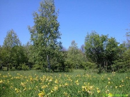 A  Széki-erdő nevezetességei, devecseri kirándulás a Balaton-felvidéki Nemzeti Parkban