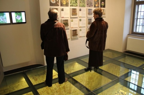 Veszprémi gyógynövény kiállítás a híres halimbai füvespap, Szalay Miklós emlékére