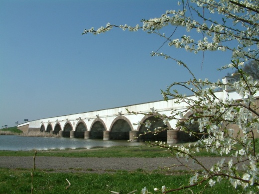 Hortobágyi Gyereknap 2024. Várjuk a Hortobágyi Nemzeti Parkban
