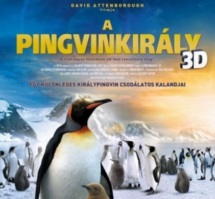 3D mozi gyerekeknek, osztálykirándulás program a Tisza-tavi Ökocentrumban