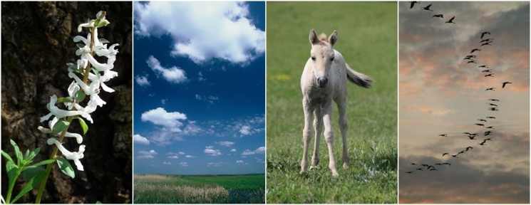 Hortobágyi fotózás 2025. Fotótúrák a Hortobágyi Nemzeti Park szervezésében