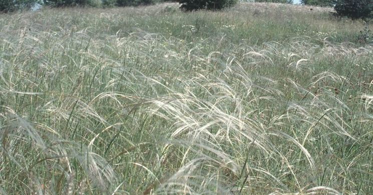 Gyalogtúrák a Duna-Ipoly Nemzeti Parkban 2026