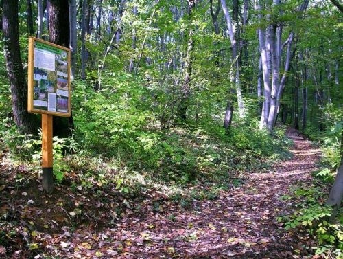 Duna-Dráva Nemzeti Park programok gyerekeknek 2025