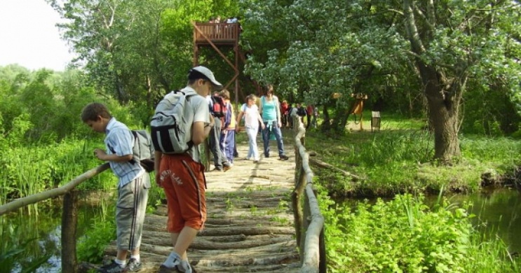 Egynapos osztálykirándulás a Tisza-tónál, osztálykirándulás ajánlatok a Szabics kikötővel
