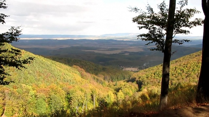 Naszály Trail 2024