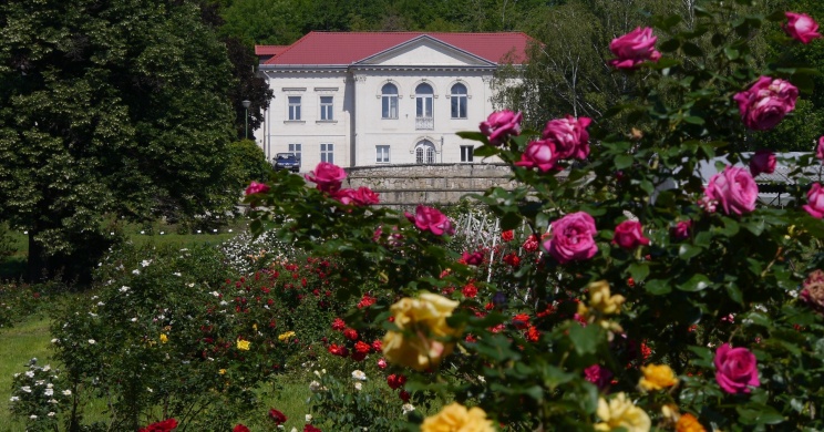 Budatétényi Rózsakert, látogatás a rozárium díszparkban, a főváros legnagyobb rózsakertjében