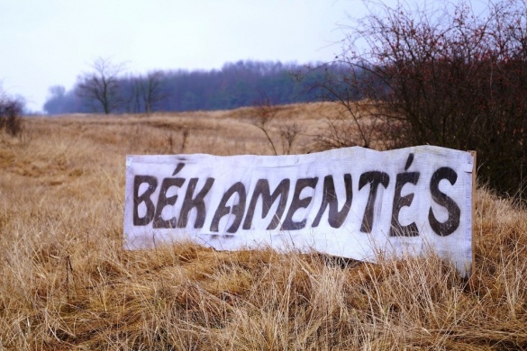 Békamentés Farmos 2022. Családi nap a Farmosi Madárvártán