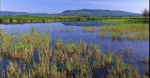 A Káli-medence felfedezése, kirándulások a Balaton-felvidéki Nemzeti Parkban