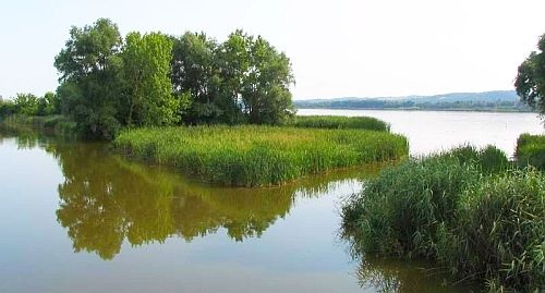 Kis-Balaton túrák a fokozottan védett területen