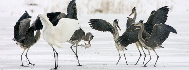 Duna-Dráva Nemzeti Park programok 2025. Események, rendezvények, jeles napok, ünnepek