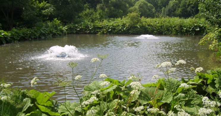 Pisztráng tanösvény Miskolc, ökotúra a Garadna-völgyben, a Bükki Nemzeti Park területén