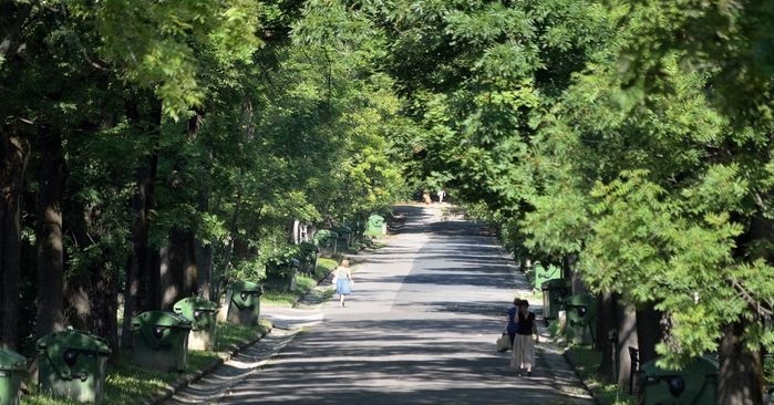 Farkasréti temető séta iskolai és turista csoportok számára Budapesten előzetes bejelentkezéssel