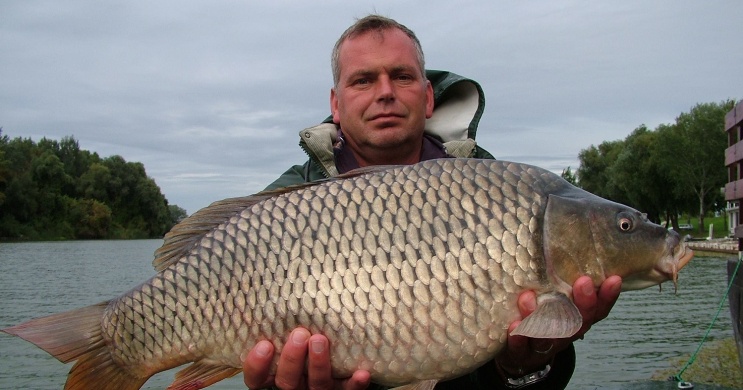 Tisza-tavi horgászat Tiszafüreden, a Szabics Kikötőben