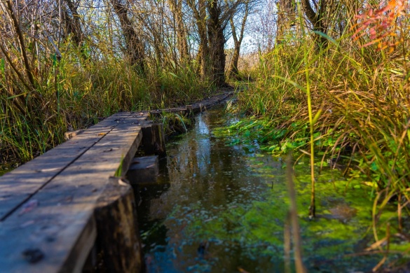 Ökotúra kerékpárral a Tisza-tónál, a Szabics Kikötő és Szabadidőpart szervezésében