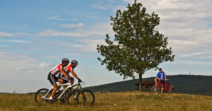 Kerékpárkölcsönzés Balaton, két keréken a Bakony és Balaton térségben