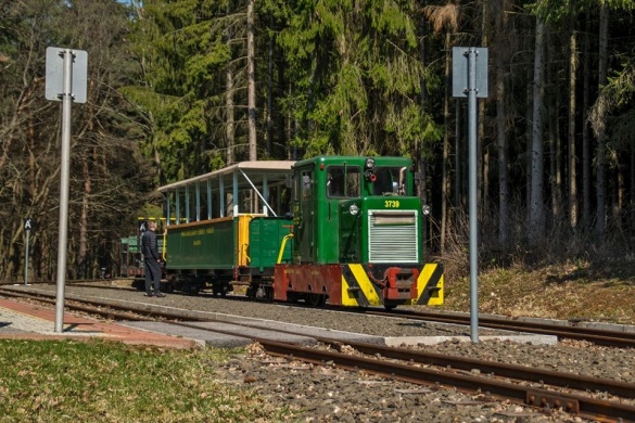 Nagybörzsönyi Erdei Vasút programok 2025