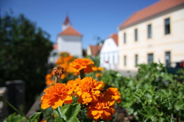 Balatonarácsi programok 2025