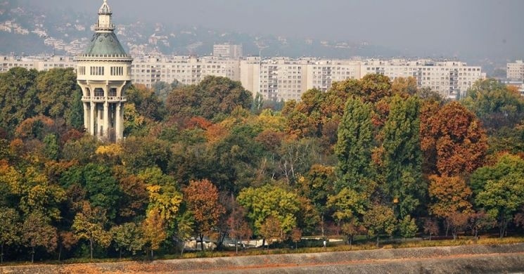 Szigetfutás 2024 Margitsziget