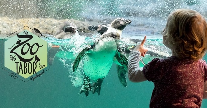 ZOO napközis tábor a budapesti Állatkertben  6-12 éves gyerekeknek