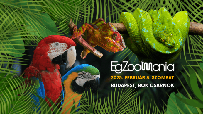 Egzotikus állatok Budapesten 2025. Egzoo Mánia állatvásár és kiállítás