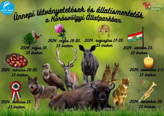 Az európai bölény bemutatása a Körösvölgyi Látogatóközpont és Állatparkban