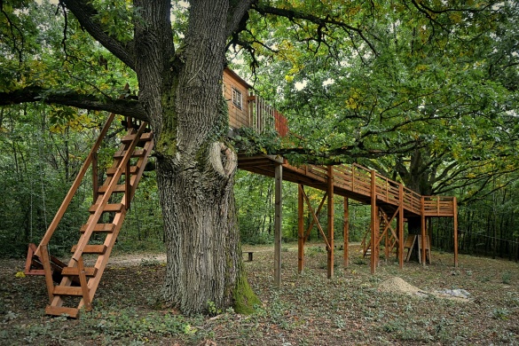 Madarak és Fák Napja Aggteleki Nemzeti Park 2025