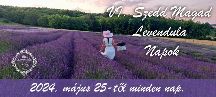 Levendula napok Ozora 2023. Szedd magad levendula napok, levendulaszüret a Levendula-völgyben